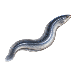 Cinderwake Coolwater Eel