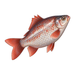Cinderwake Crown Char