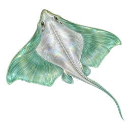 Glassfin Skate